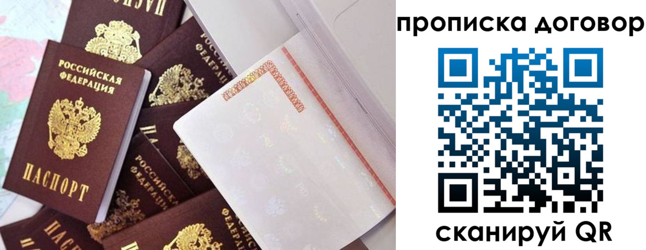 прописка в квартире в Новосибирской области